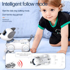 S8c5037decafb45a4b6c7ee70186905b8j